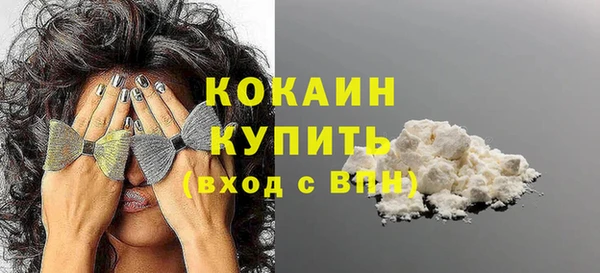 МДПВ Рославль